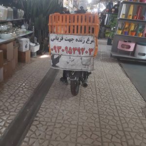 عرضه مرغ و خروس برای قربانی