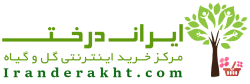 فروشگاه اینترنتی گل و گیاه ایران درخت