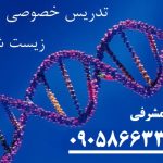 تدریس حضوری و خصوصی و آنلاین زیست شناسی با بهترین دبیر برند تضمینی زیست شناسی کنکور و معلم خصوصی زیست امتحان نهایی