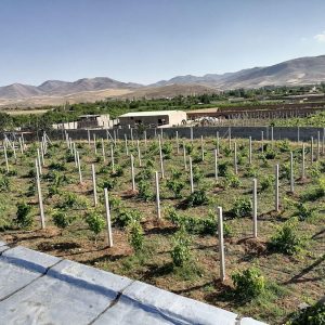 تیرگذاری و اجرای فنس برادران در ارومیه
