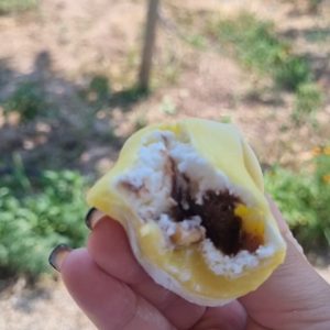 آموزش آنلاین کیک تولد و موچی و شیرینی در تهران (قابل دسترس برای سراسر ایران)