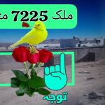 فروش ملک در شهر شیراز