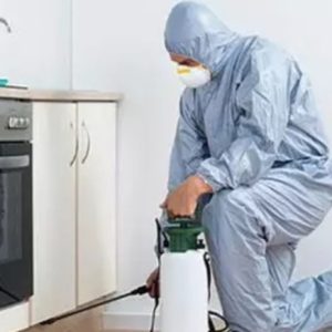 سمپاشی سوسک ریز کابینتی و سوسک فاضلابی در مهرشهر کمالشهر کیانمهر مهرویلا دهقان ویلا گلشهر گوهردشت پیشاهنگی کرج شرکت سمپاشی با مجوز دانشگاه علوم پزشکی تهران و ایران سم پاشی تضمینی ساس موش کنه بید کک گال مایت شپش سمپاشی در منازل رستوران ساختمان کارگاه
