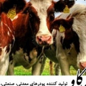 فروش بنتونیت و خواص بنتونیت در خوراک دام (Bentonite)