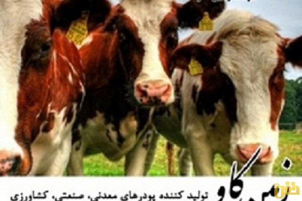 فروش بنتونیت و خواص بنتونیت در خوراک دام (Bentonite)