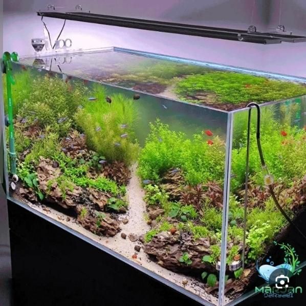 فروش اقساطی آکواریوم پلنت در تهران | فروشگاه آکواریوم دلسا