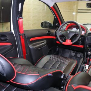 رودری چرم 206