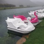 قایق پدالی قو دونفره و چهارنفره