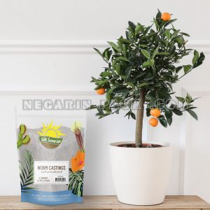 فروشگاه پاکت نگارین | تولید تخصصی انواع پاکت و بسته‌بندی