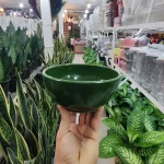کاسه آبگوشت‌خوری سفالی (سفال دیزی پتوس ورمی ناز)