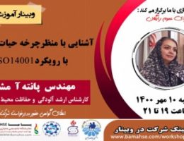 شرکت راهبرد امواج پایا