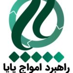 ارتقای بهره‌وری و تعالی سازمانی؛ تضمین آینده کسب‌وکار شما با گروه مشاوران پایا
