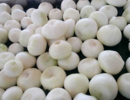 پیاز منجمد آماده مصرف